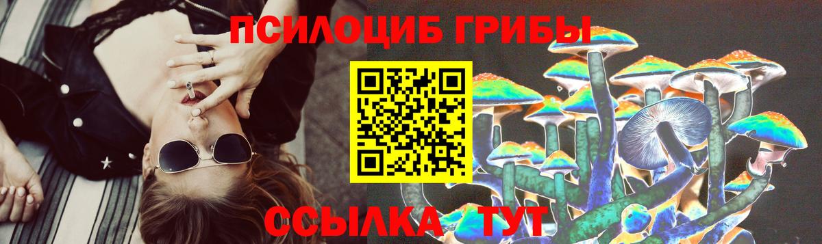 Медногорск  Галлюциногенные грибы Psilocybine cubensis  Вход с VPN  Галлюциногенные грибы Psilocybine cubensis 