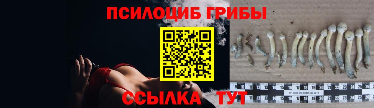 Псилоцибиновые грибы Magic Shrooms Медногорск